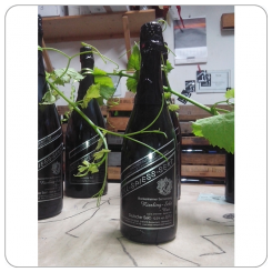 Riesling Sekt, brut - klassische Flaschengärung -- 0.75 l 