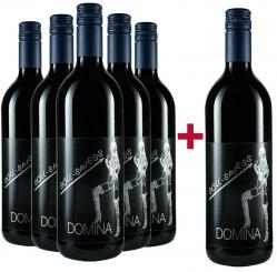 5+1 Paket - 2022er Domina Spätlese - trocken 0,75l - frachtfrei 